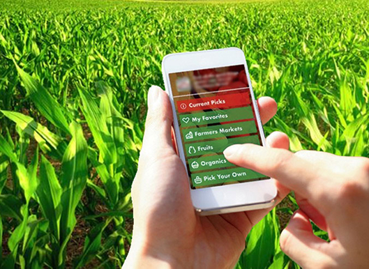 Geoagro – iKrishi App for a farmer-friendly site-specific advisory