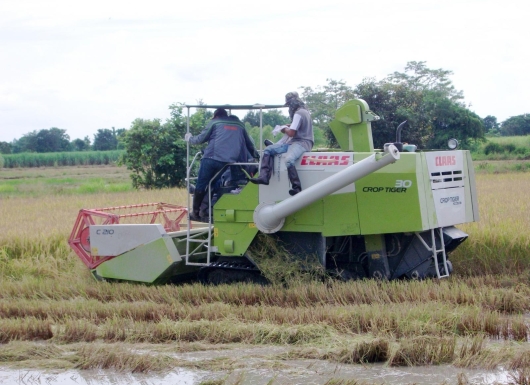 Technologies for postharvest management