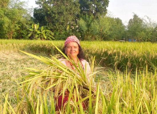 Rice value-added products for nutrition and profitability