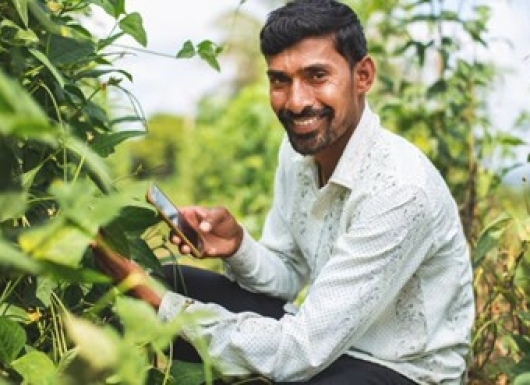 Plant protection application app: Plantix