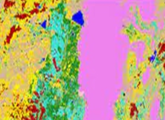 GIS/Remote Sensing for Crop type mapping and assessment of crop health