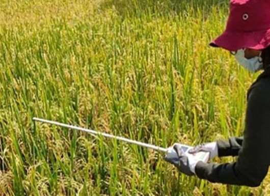 Yield Estimation using Technology (YES-TECH)