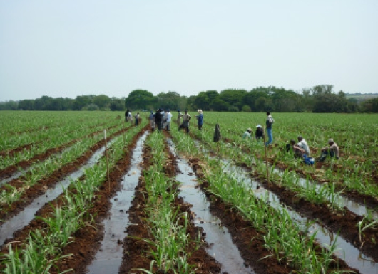 IoT-enabled Water Measuring Device for Open Channel surface Irrigation System