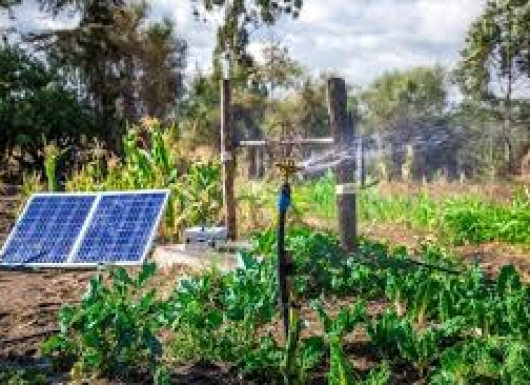 Agri-Voltaic System/Solar Farming