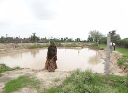 Rainwater Harvesting through Improved Tanka