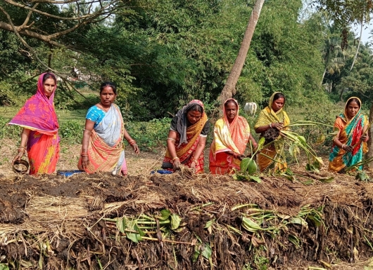 Multi-crop planter for sowing seeds under conservation agriculture (including zero-till) scenarios