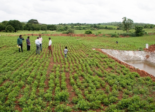 Need-based irrigation scheduling using Water Impact Calculator