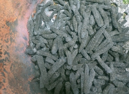 Enriching soil OC using biochar, composting and Conservation Agriculture practices