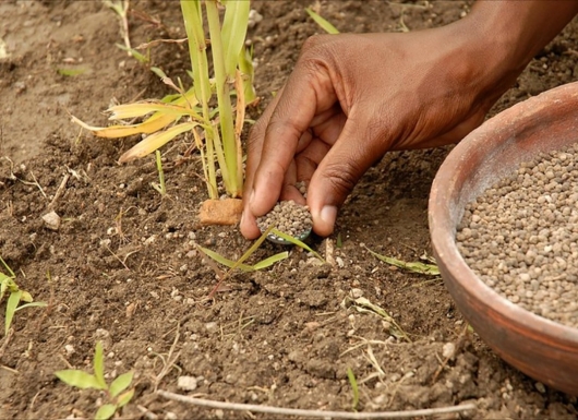 Soil test-based fertilizer recommendations