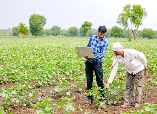 Crop Insurance Scheme (PMFBY)
