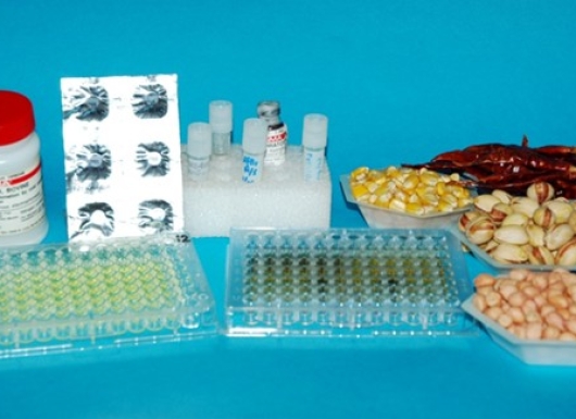 Holistic solutions for aflatoxin management in Asia and sub-Saharan Africa