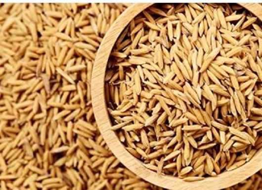 Mentoring and development of seed system