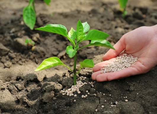 Bio-pesticides and bio-fertilizers for healthier food and safer environment due to less chemical use