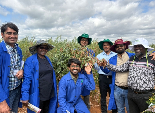Enhancing Pigeonpea Productivity and Production in Eastern and Southern Africa
