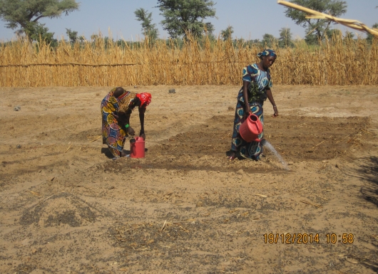Harmonized Digital Fertilizer & Agronomic Solutions (HaFAS)