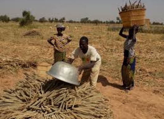 Unlocking the potential of flood farming to reduce flood risks and boost dryland productivity