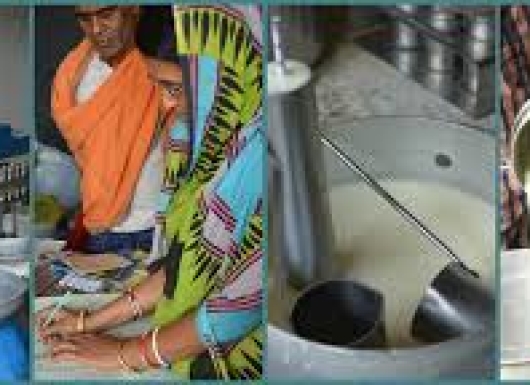 Training, Monitoring & Certification (TMC) Programme for Informal Dairy Value Chain Actors
